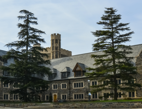 How To Get Into Princeton University: Complete Guide