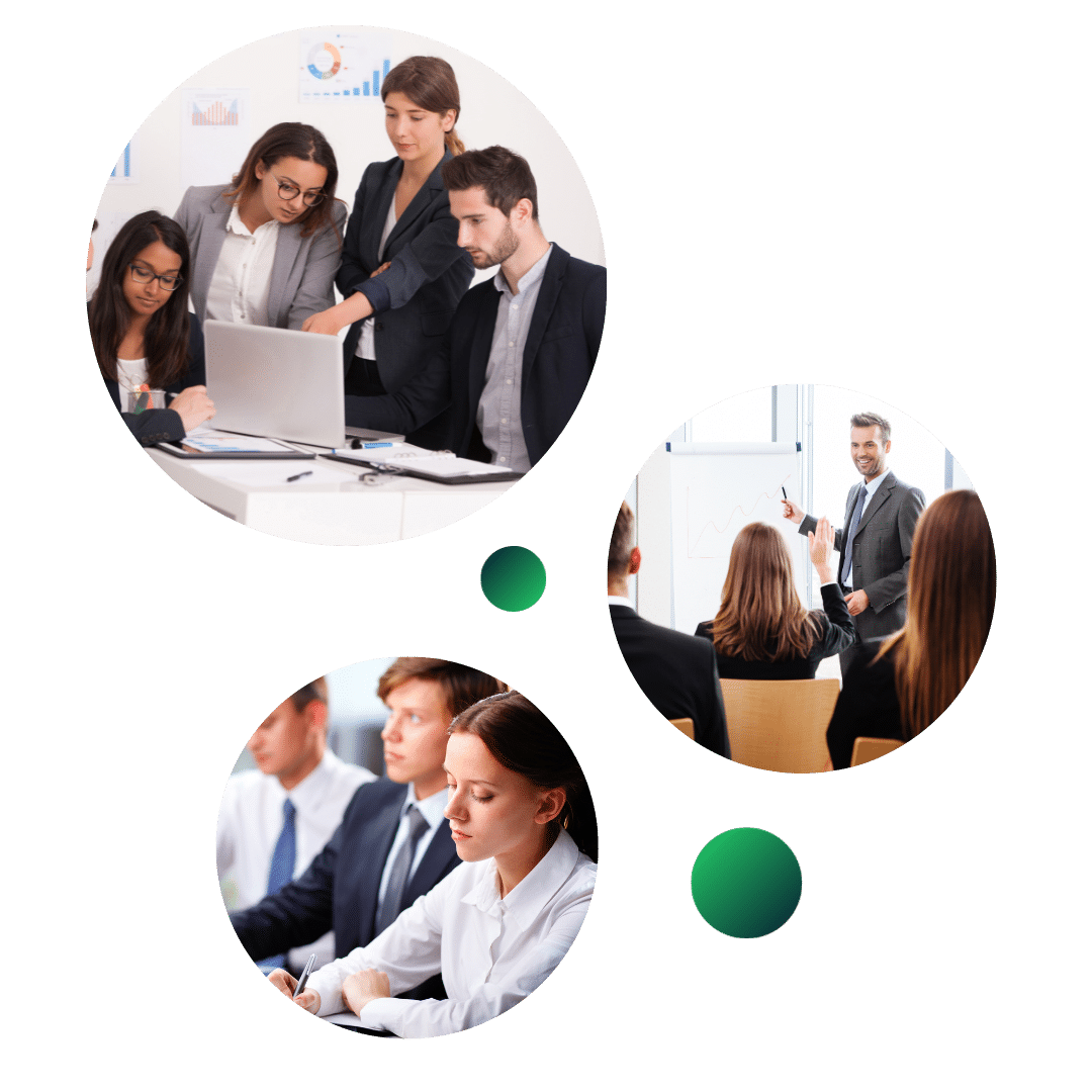 college business majors