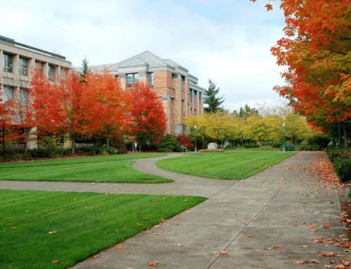 How to Build a College List: A Step-by-Step Guide