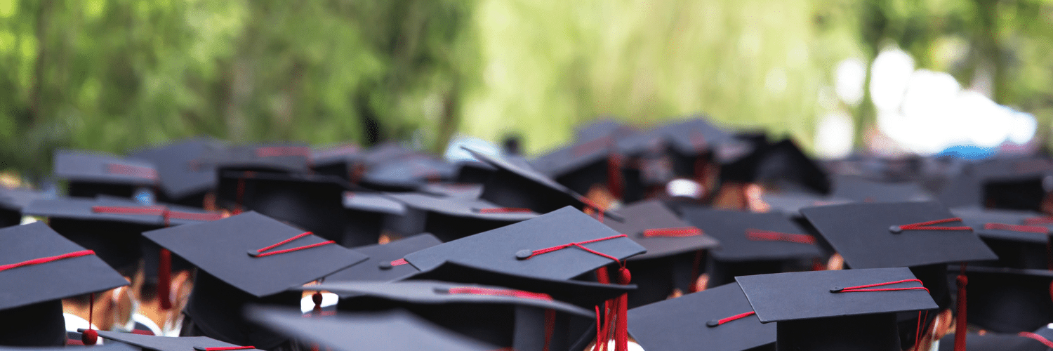 2024 college admissions trends