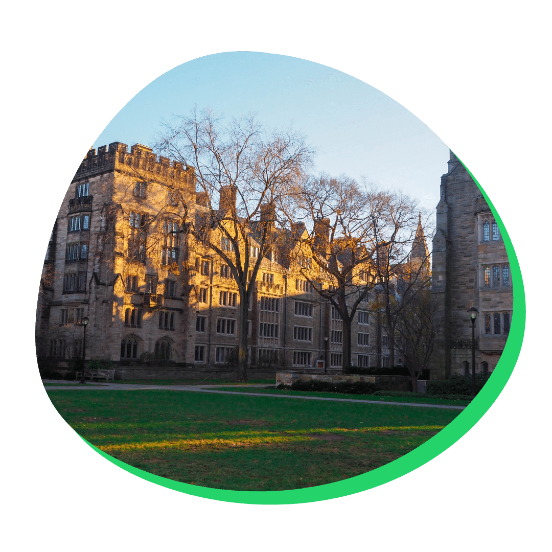 yale's new test-flexible policy