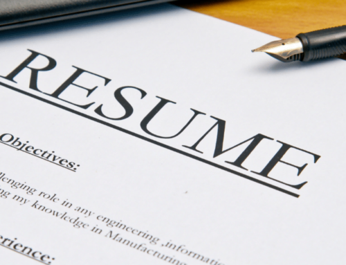 Best Resume Templates 2024