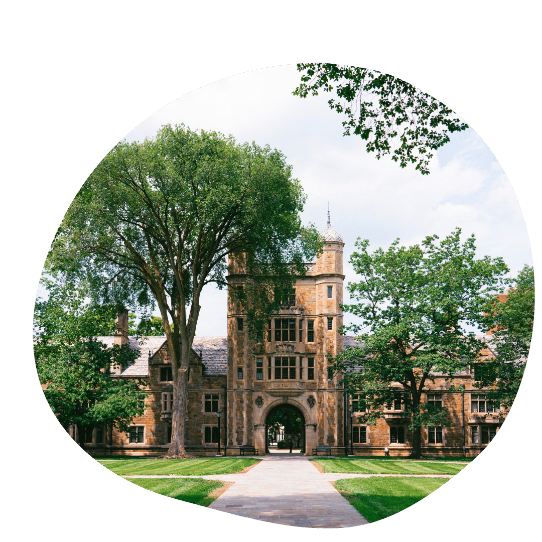 The University of Michigan, Ann Arbor, is known for its strong engineering and medical programs.